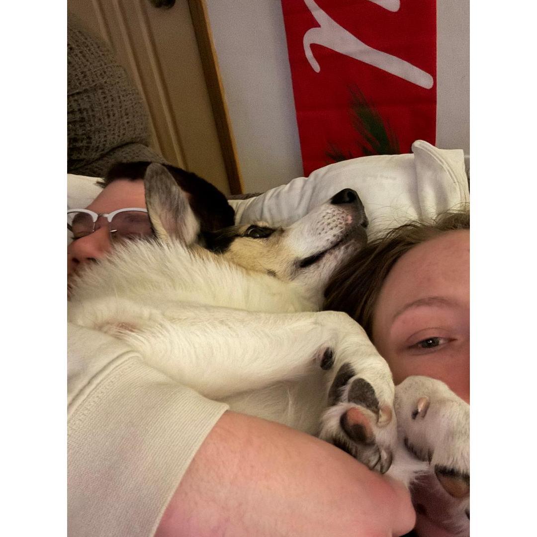 Ollie's dysfunctional cuddles