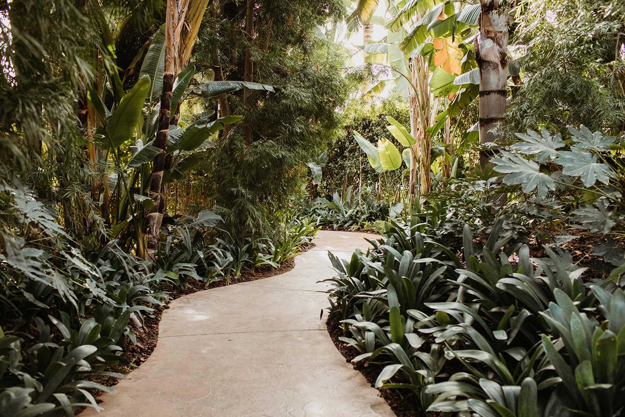 The Wedding Website of Lizette Ayala and Oscar Tol