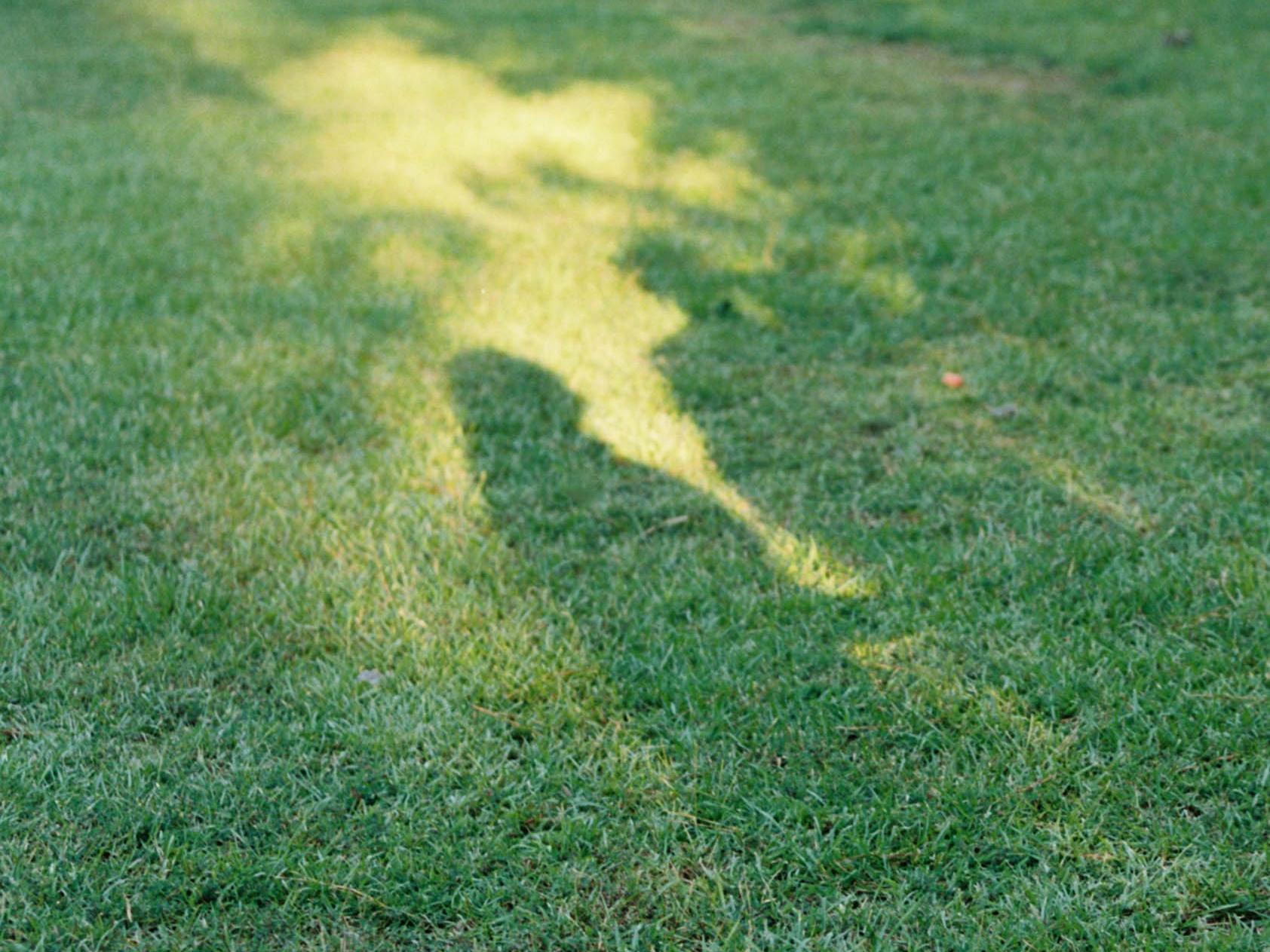 The Wedding Website of Savannah Murphree and George Sellers