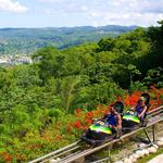 Mystic Mountain Bobsled Adventure Tour