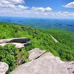 Rough Ridge Lookout