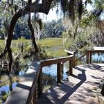 Coastal Discovery Museum