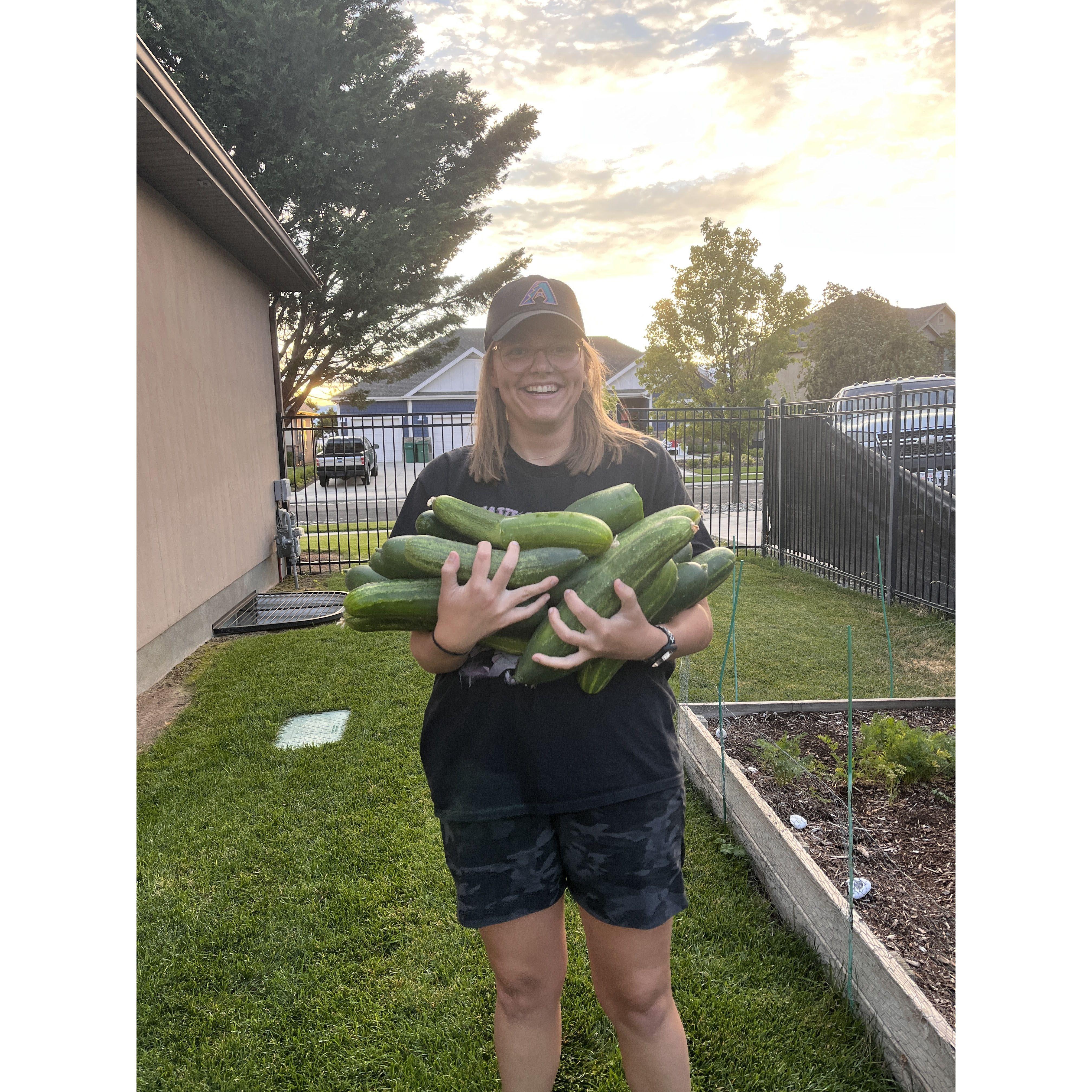 The Year Our Cucumbers Got Out Of Control!