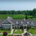 Del Vino Vineyards