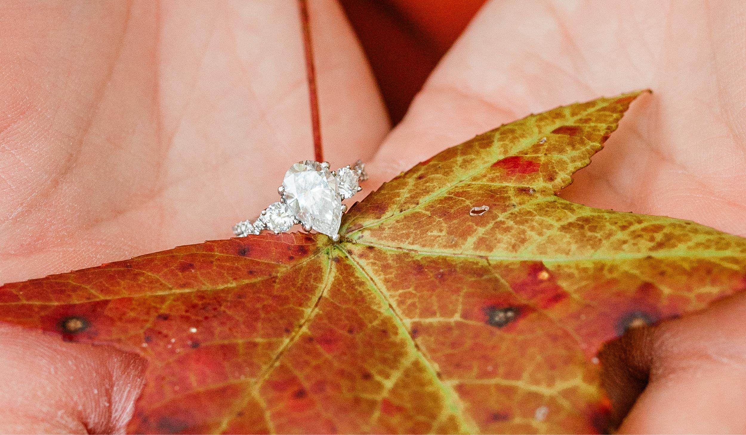 The Wedding Website of Meagan Angeline Albee and Joshua Craig Linn