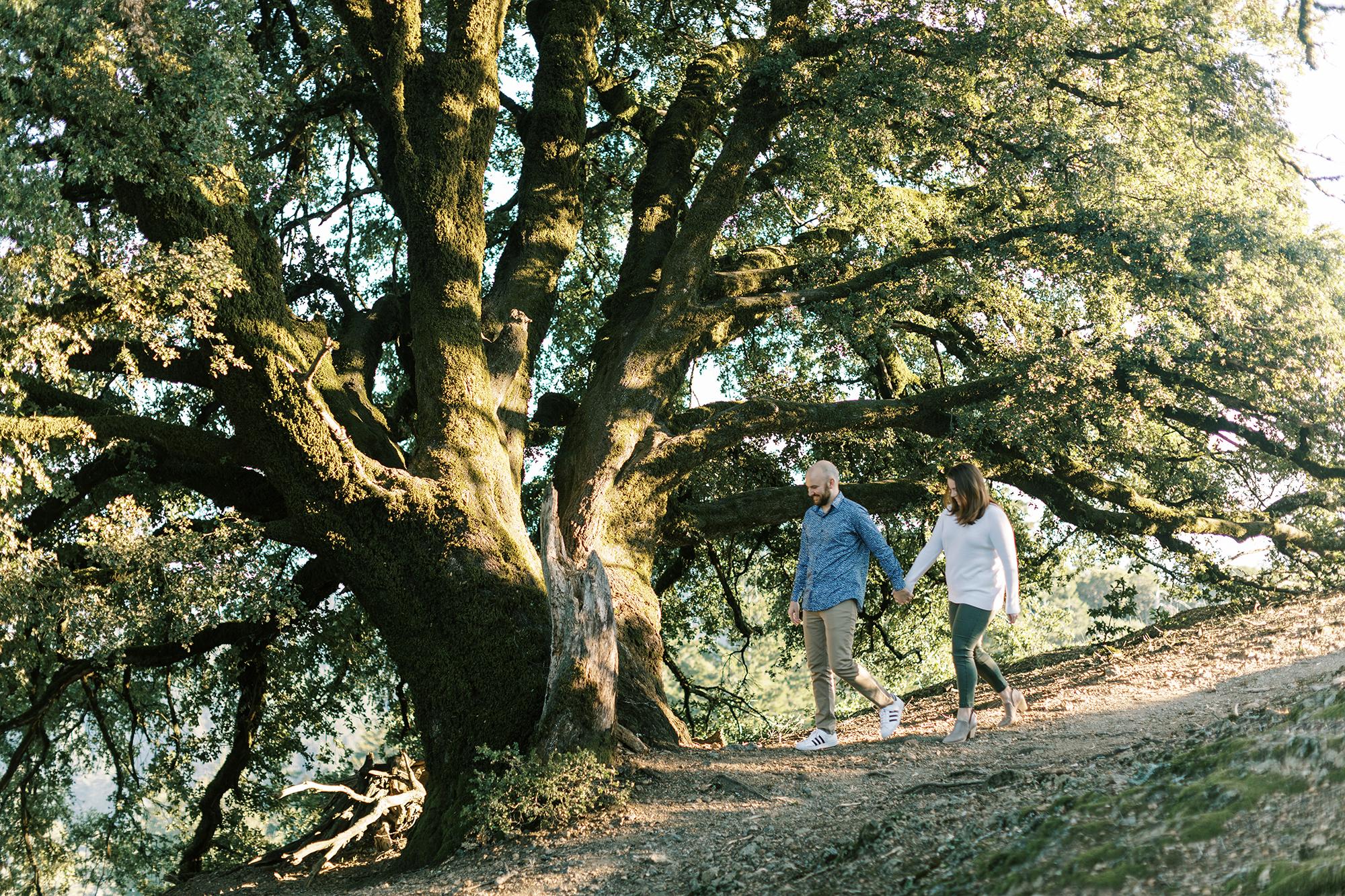 The Wedding Website of Amanda Litty and Kyle Stuetzel