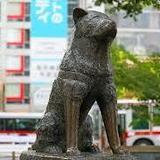 Hachiko Statue