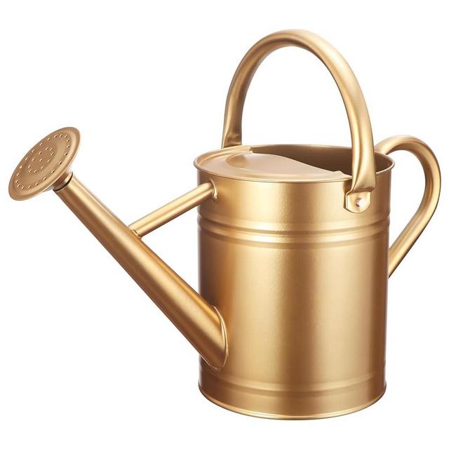 Watering Can for Outdoor Plants&Indoor Plants,Plant Watering Can 1 Gallon,Metal Flower Garden Watering Can Water Can Watering Pot,Galvanized Steel Watering Can Outdoor (Gold)