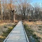 The Grove Nature Center