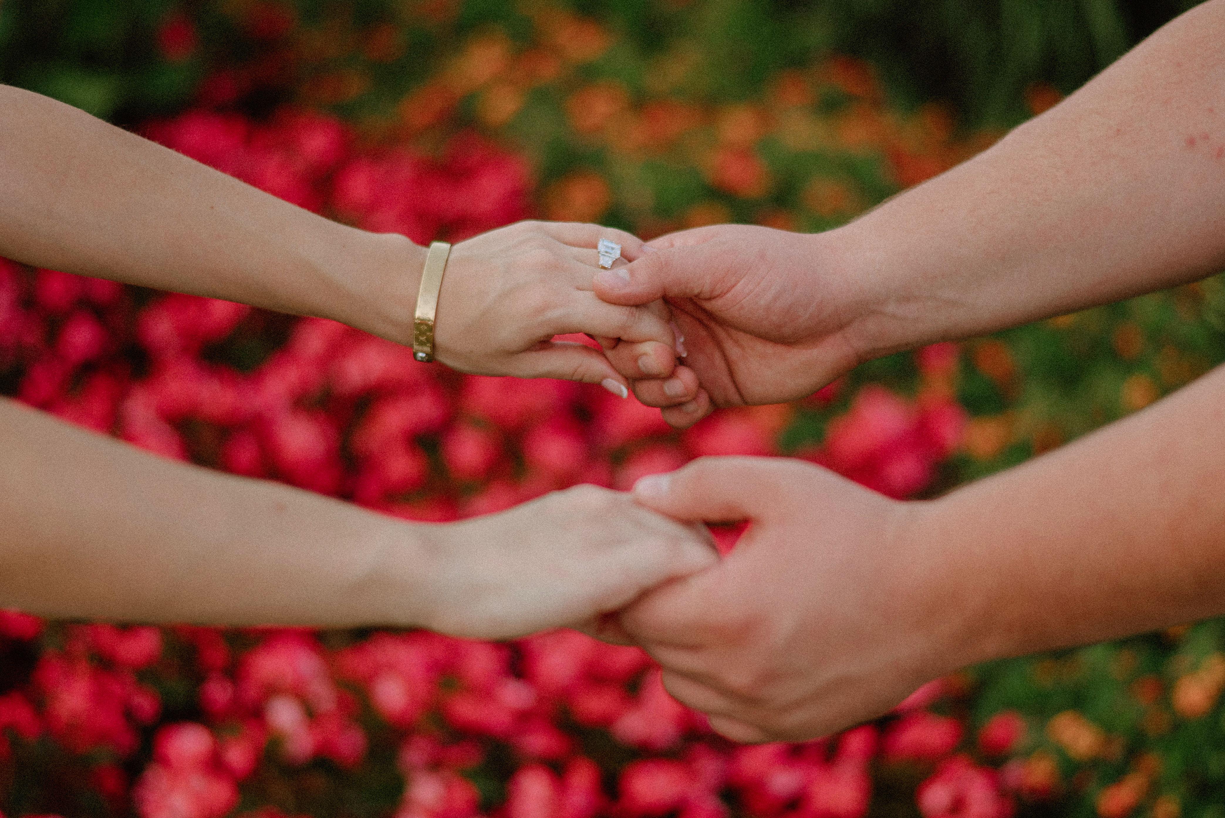 The Wedding Website of Zachary Blake and Haley Maurer
