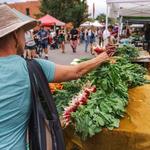 Boulder Farmer's Market