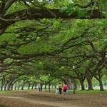 Hermann Park