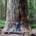 Muir Woods National Monument