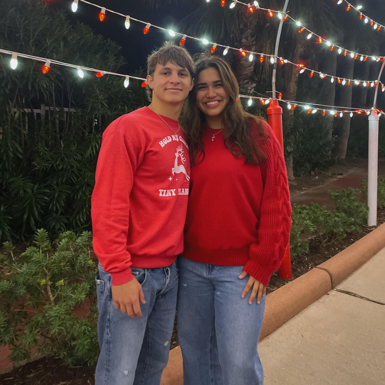 annual moody gardens christmas lights - 2024