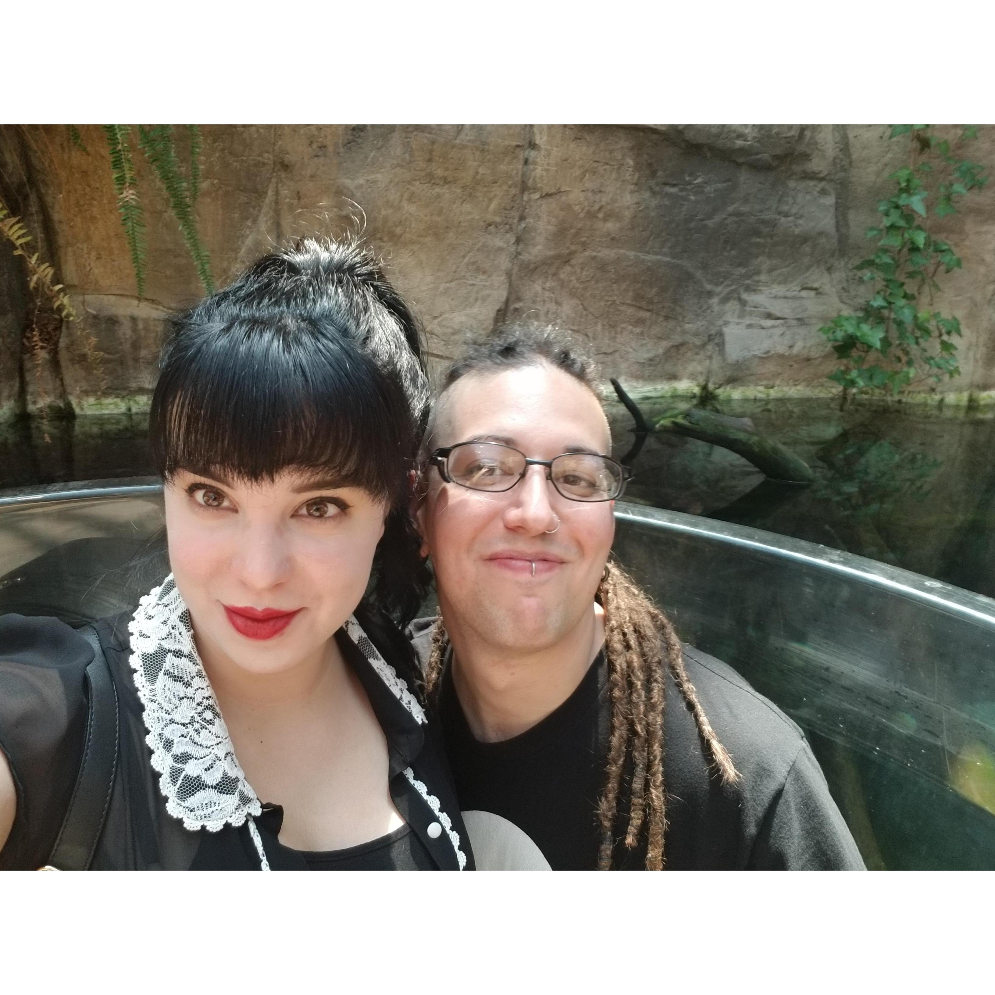 Denver zoo 2017