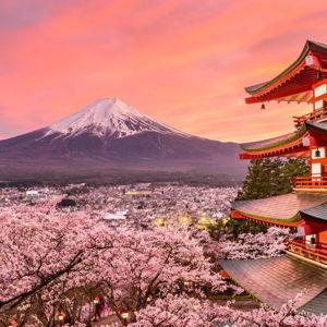 Honeymoon Fund to Japan!