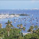 Coconut Grove