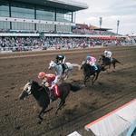 Canterbury Park