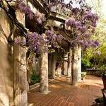 Van Vleck House & Gardens