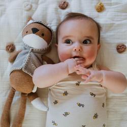 Crane Baby Ezra Frankie Fox Plush Toy