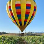 Temecula Balloon Rides