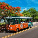 Key West Trolleys