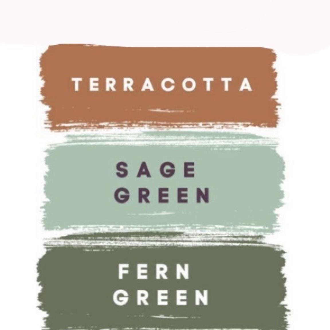 Color Scheme