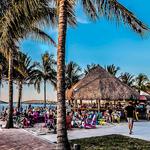 TT's Tiki Bar