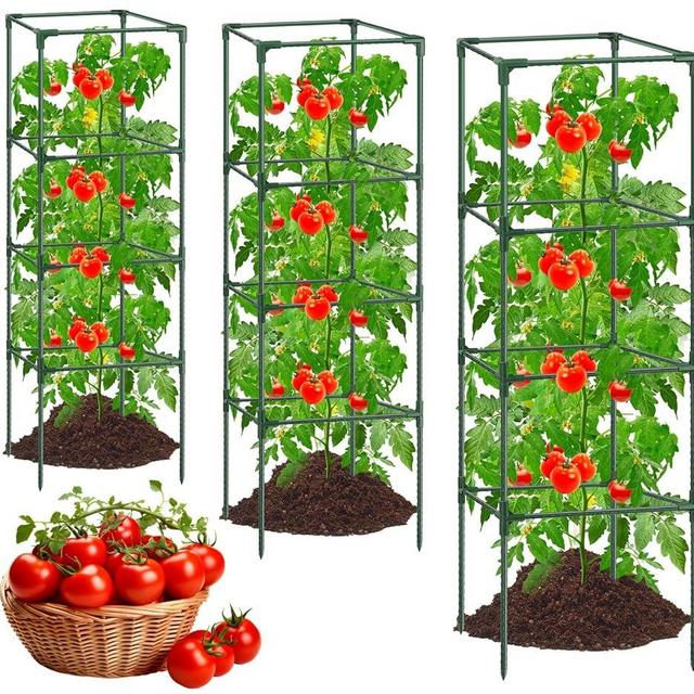 3Pack Tomato Cages for Garden,Square Tomato Plant Cage Support Heavy Duty Pole 57*15.4*15.4 Inches,Steel Plant Tower Stakes,Cherry Tomato Trellis Cucumber for Climbing Vegetables Flowers Fruits-Green