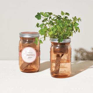 Parsley Garden Jar