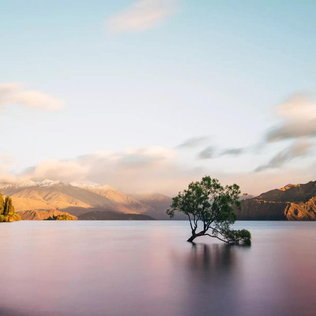 Our Honeymoon Fund