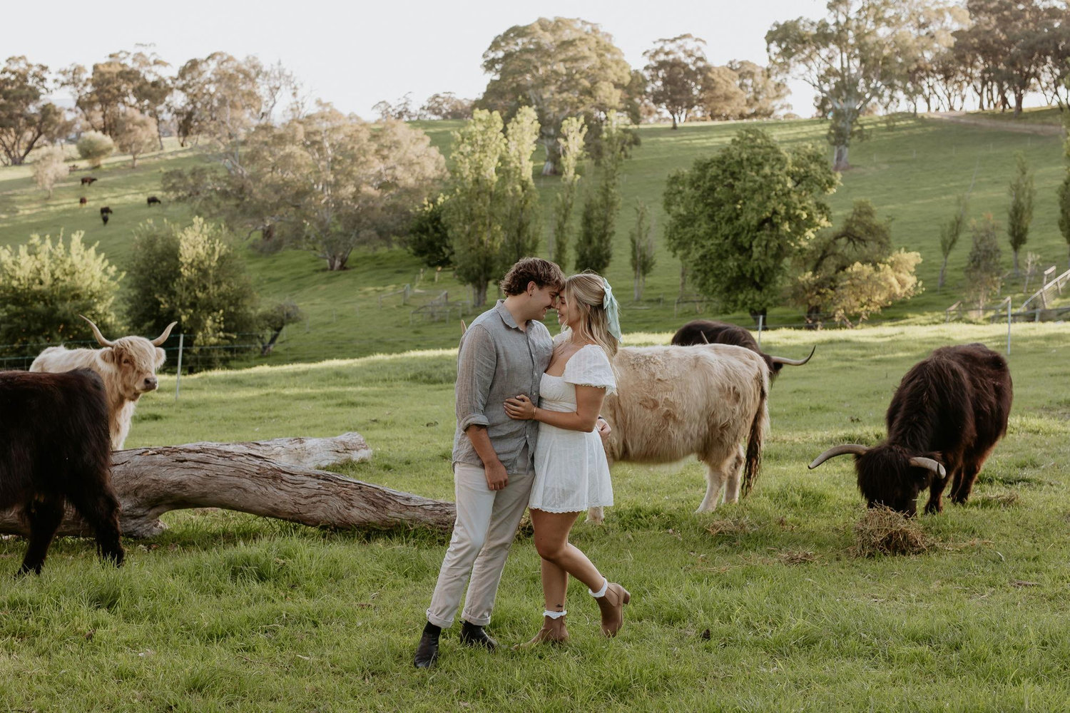 The Wedding Website of Hayley Rogers and Nathan Fisher