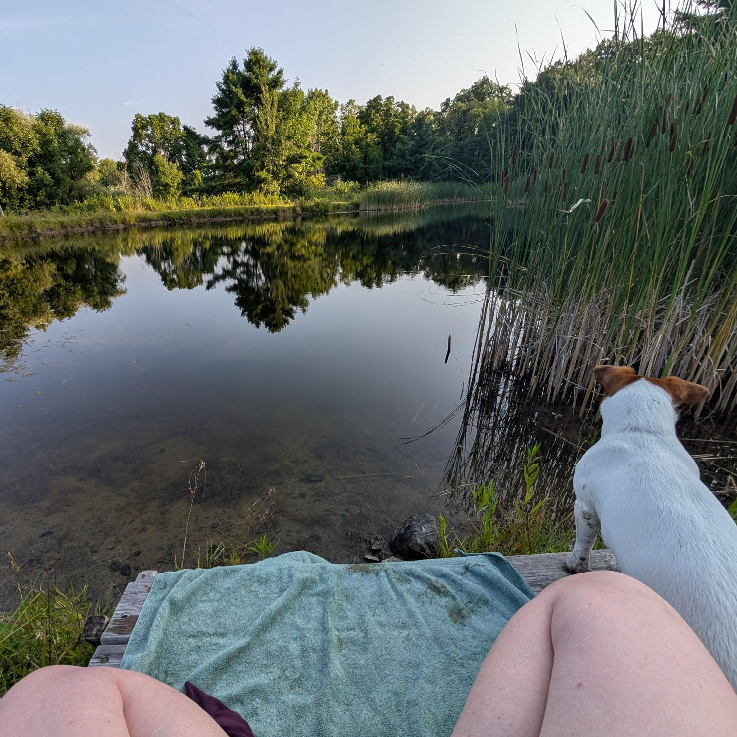 Our Pond
