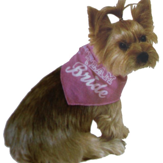 Team Bride Bandana for Pet Dog Wedding Accessories