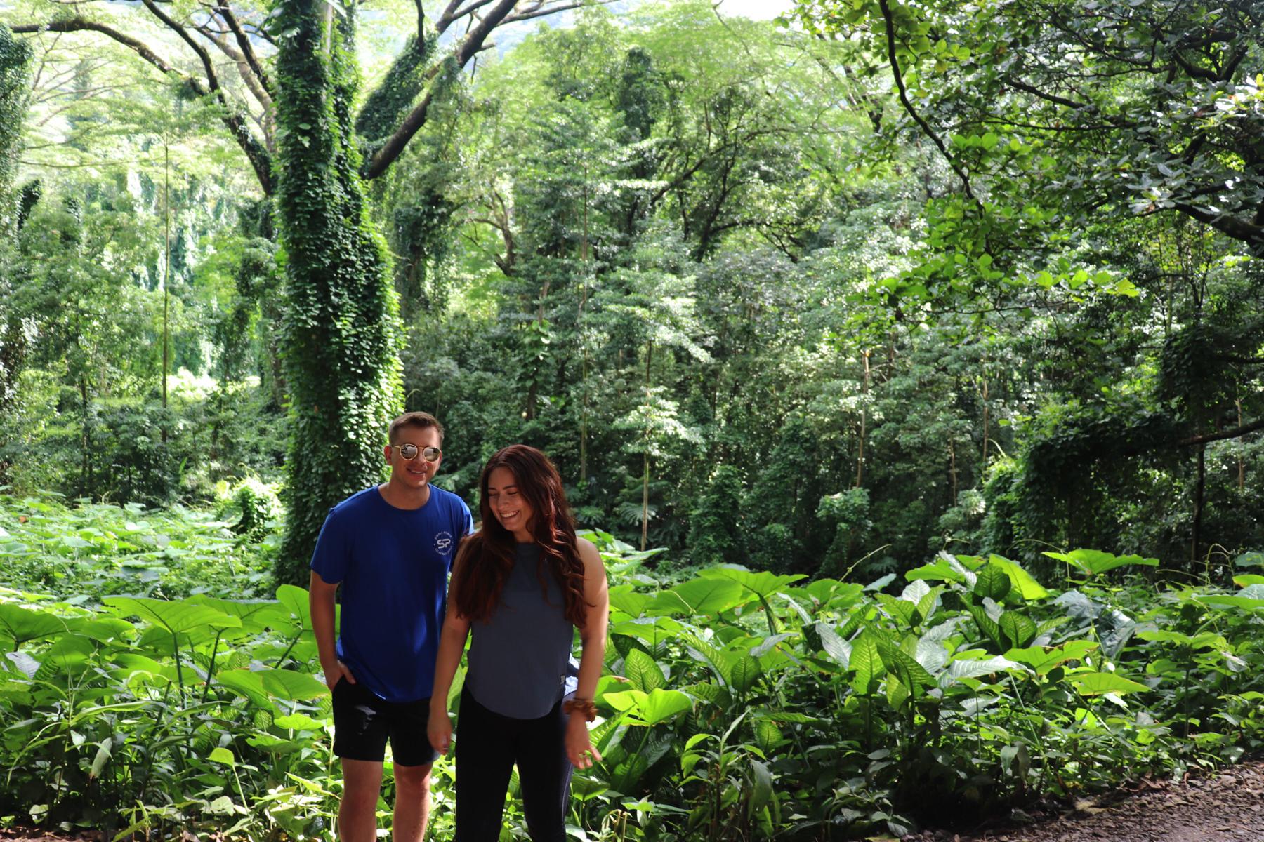 Manoa Falls Hike, Hawaii 2022