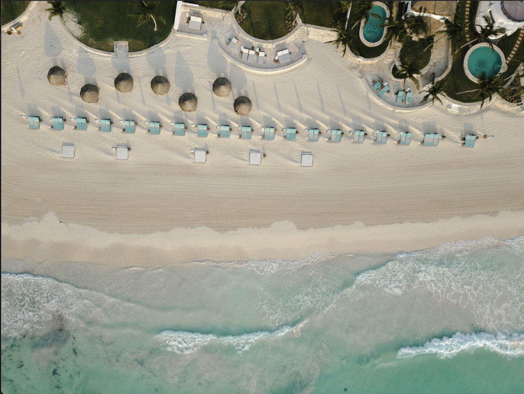 The Wedding Website of Hannah Kraus and Alexander Looney