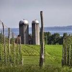 Climbing Bines Craft Brewery & Hop Farm