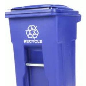 Toter 32 gal Blue Polyethylene Wheeled Recycling Bin Lid Included