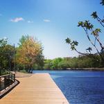 Christian Herter Park