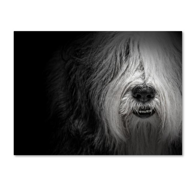 Trademark Fine Art 'Sheepdog' Canvas Art by Lori Hutchison