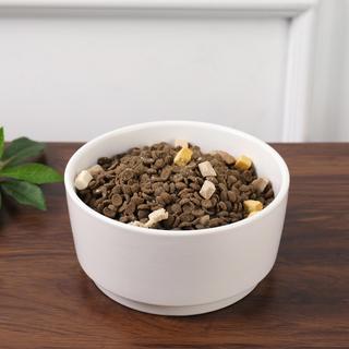 Casa Pet Bowl