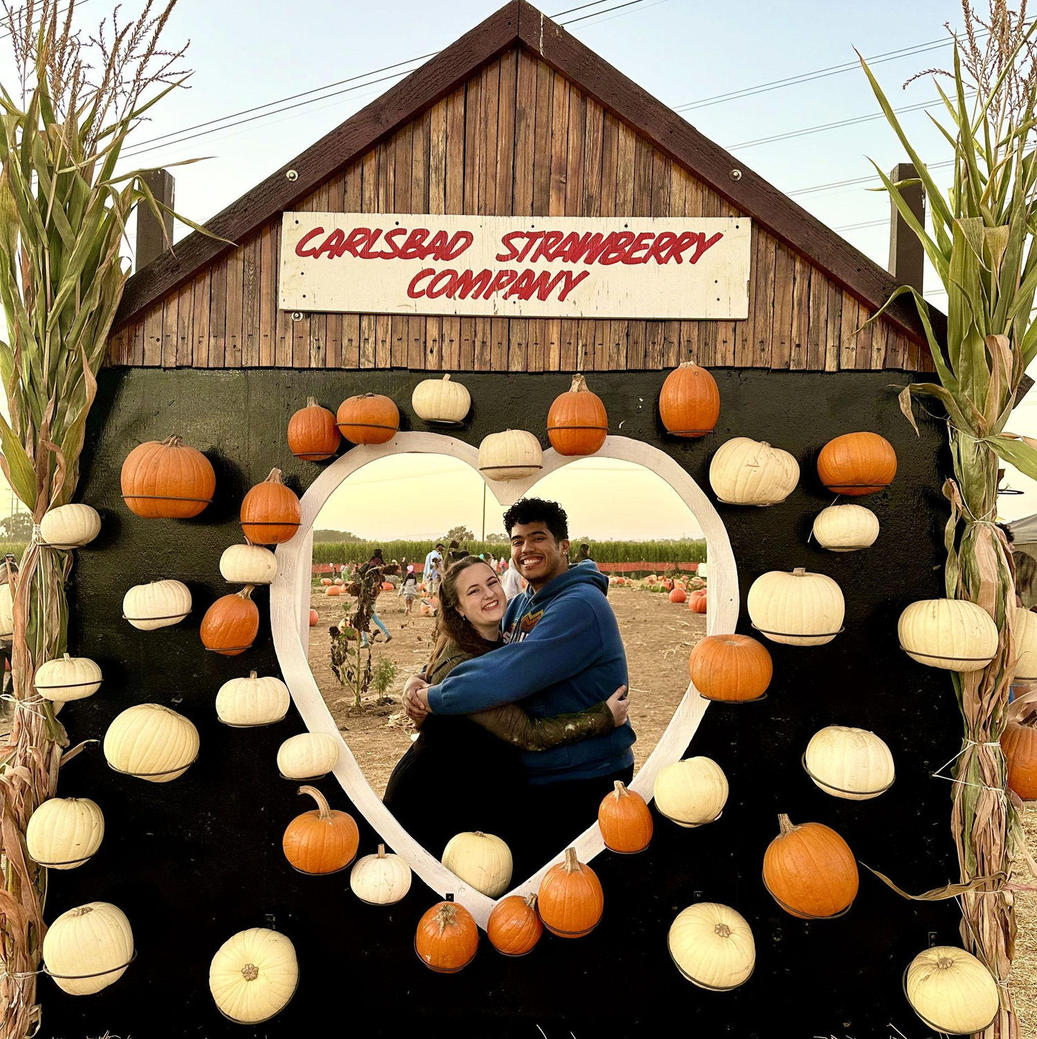 Harvest Festival