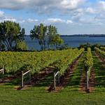 The Winery at Sovereign Estate