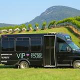 VIP Southern Tours & Georgia Wine Bus
