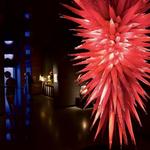 Chihuly Collection