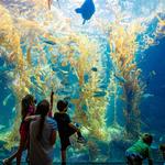 Birch Aquarium at Scripps Institution of Oceanography