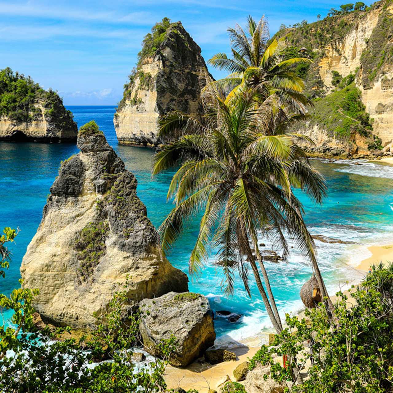 Our Honeymoon to Bali Fund