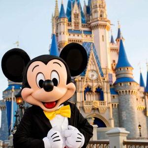 Disney World Fund