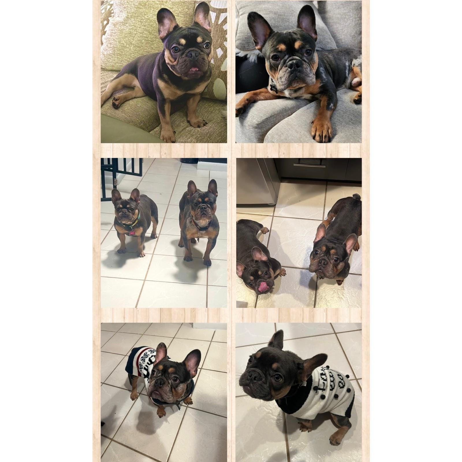 Nuestros Bebes!!