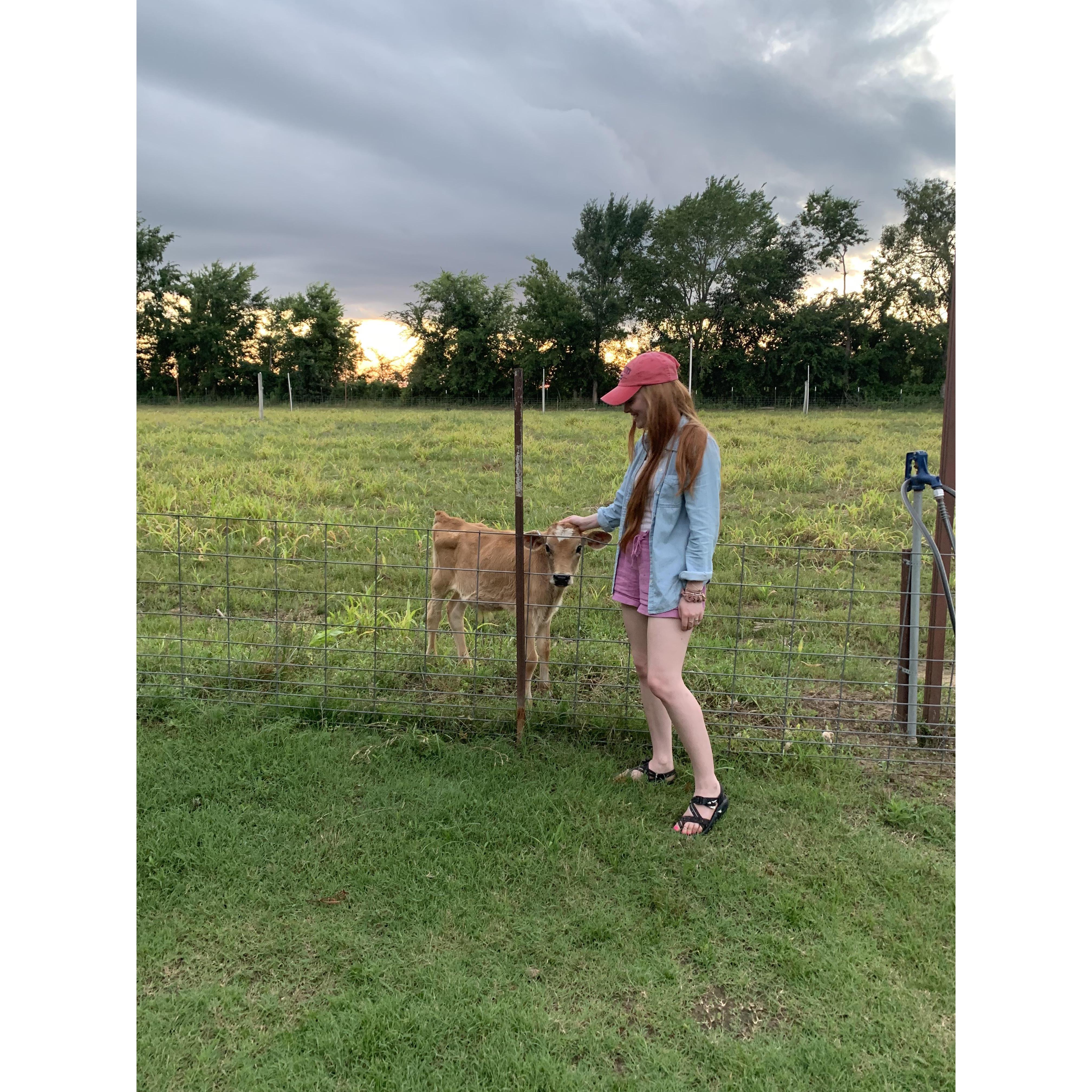 Brock letting me pet the cow at the farm